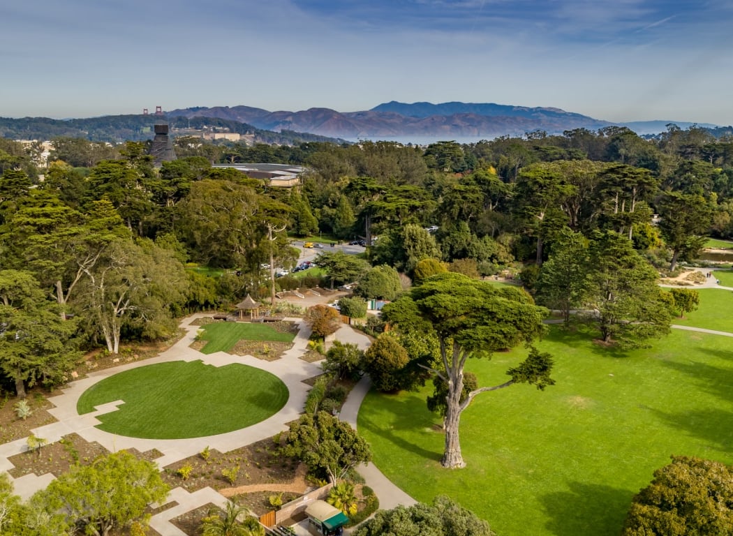 San Francisco Botanical Garden 5