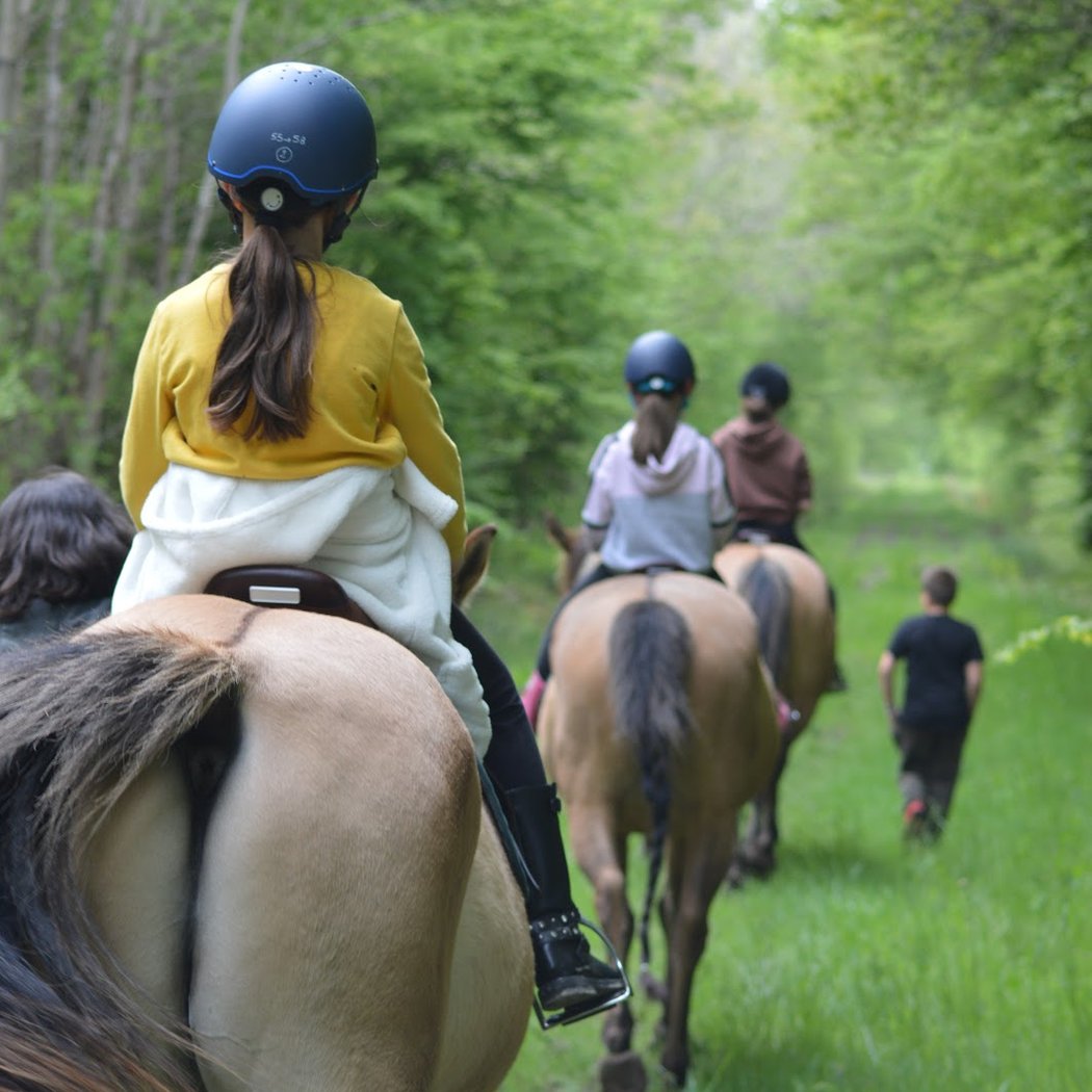 Enowood | Pension Ecurie Active | Cours Enfants Et Adultes | Balade Cheval | Seminars | Team Building 1