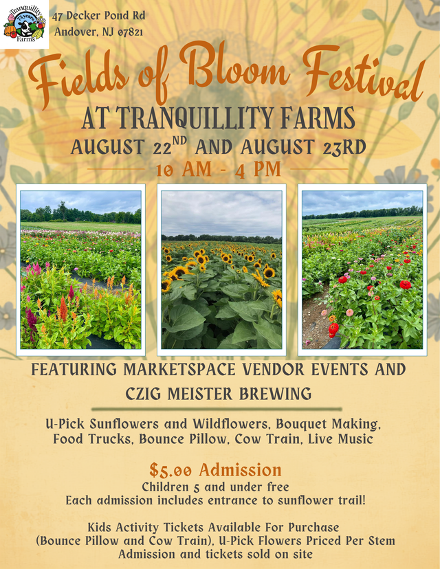 Fields of Bloom Festival 1