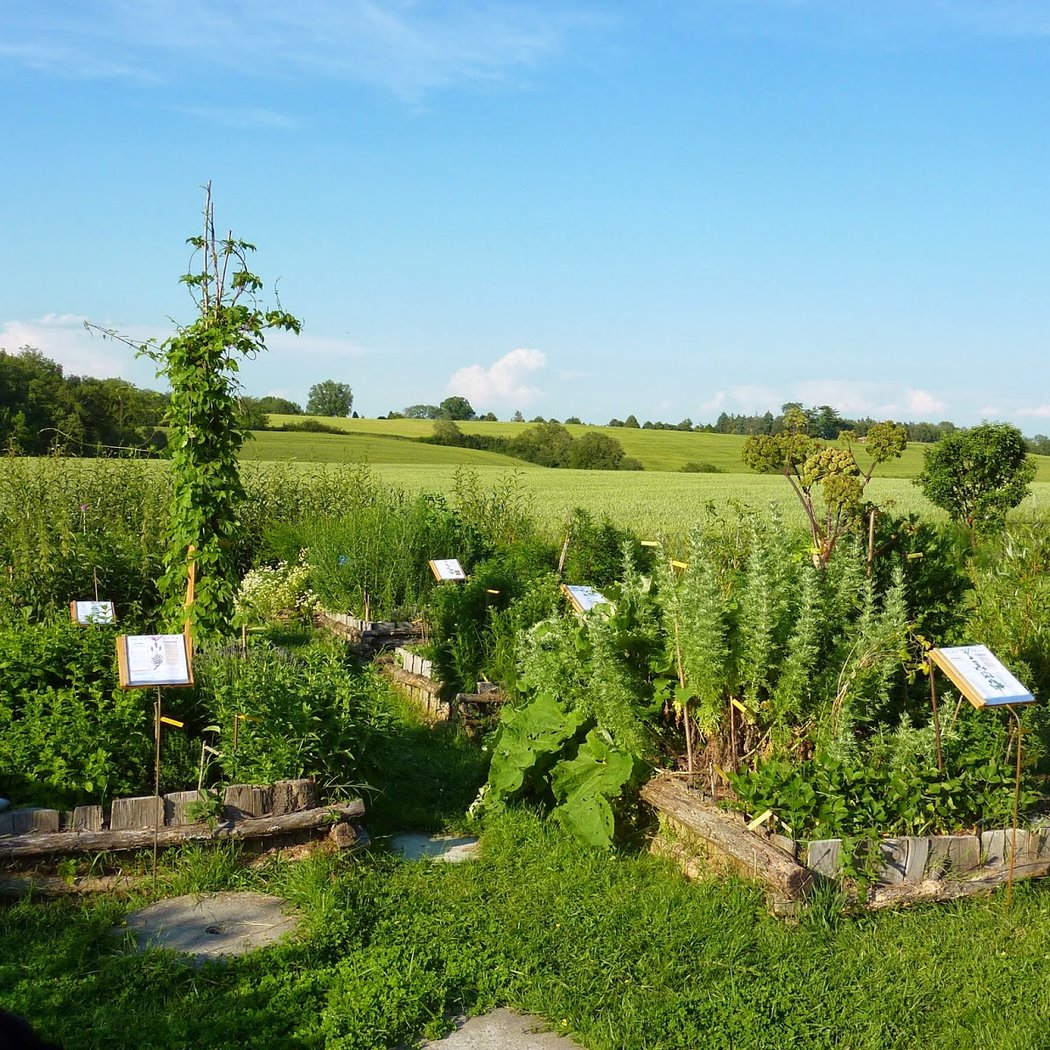 Les Ateliers En Herbe 2