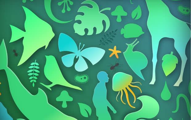 MISSION Biodiversité 2