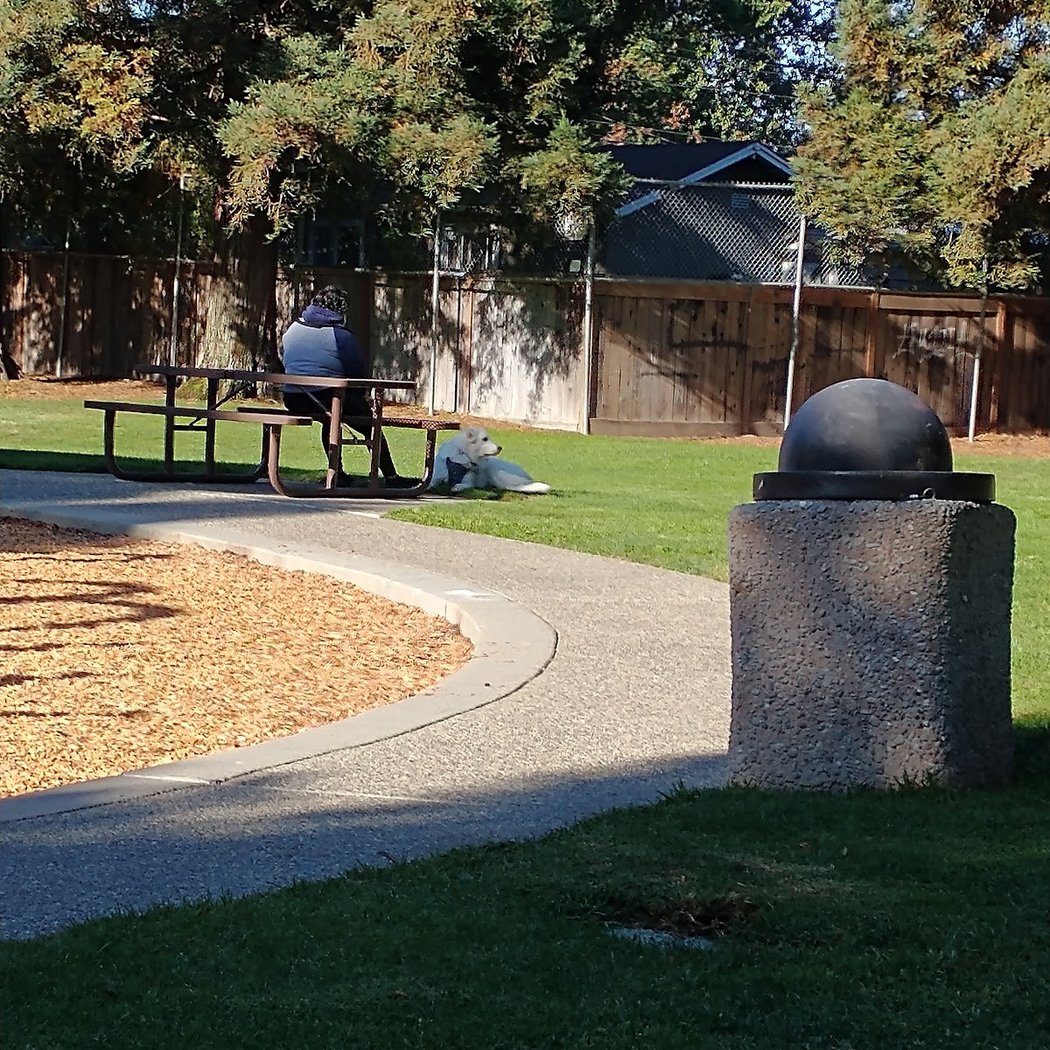 Palm Park 2