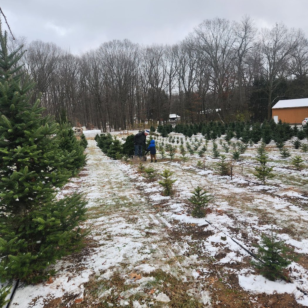 Westman's Christmas Tree Farm 2