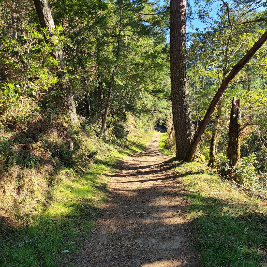 Purisima Creek Redwoods Preserve North Ridge Parking Area 3