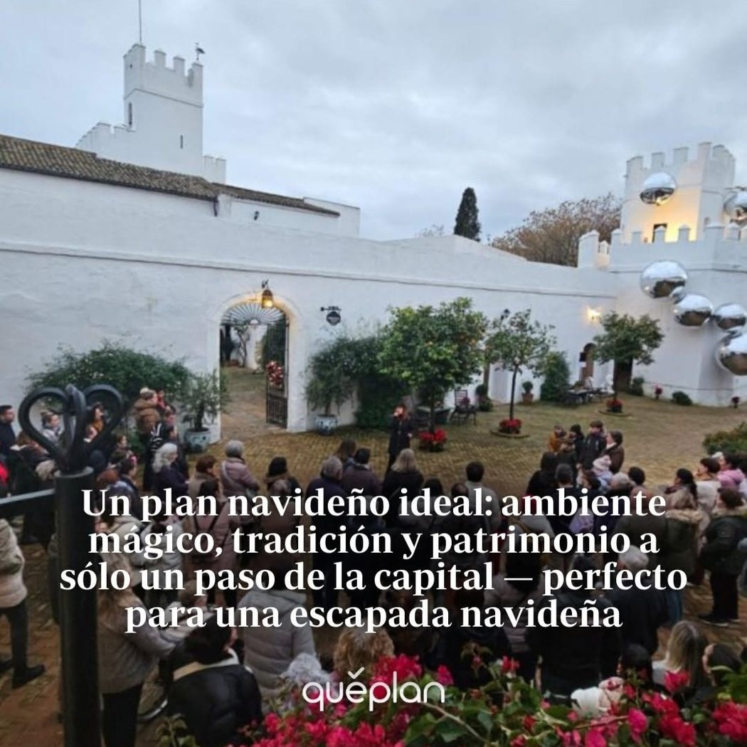 Mercadillo de Navidad 3