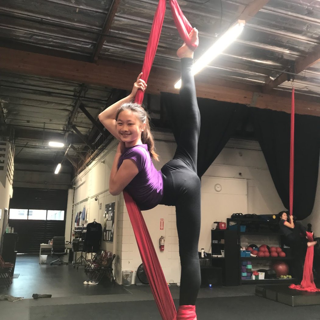 Aerial Straps Class 2