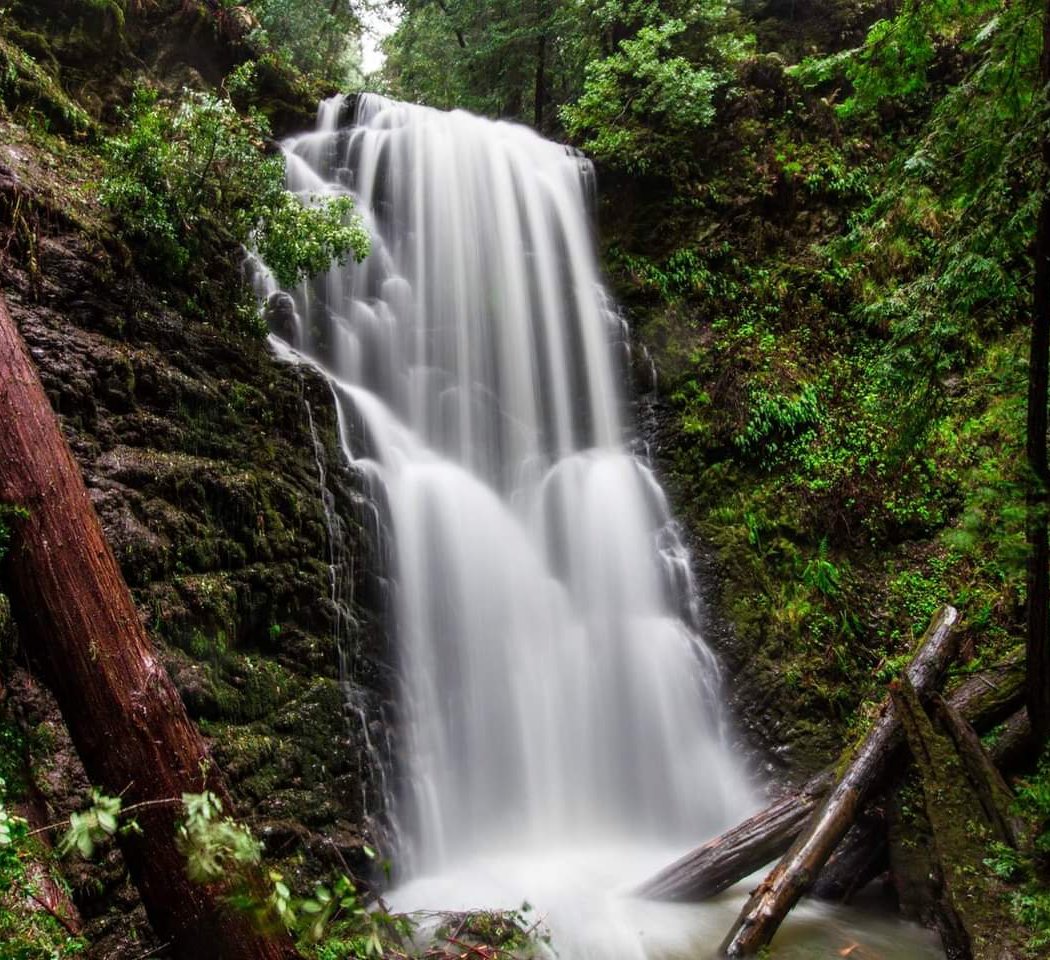 Berry Creek Falls 1