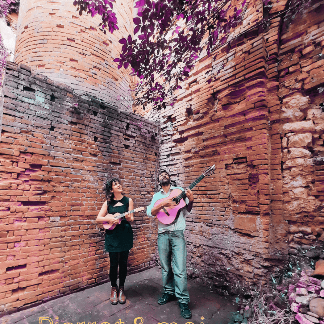 Concert folk – guitare & voix 1