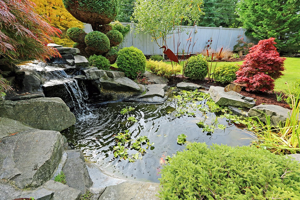KC Water Garden Society Annual Tour 3