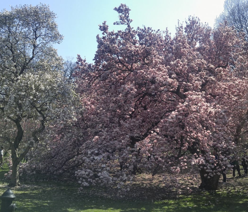 Everett Garden Gate, NYBG 3
