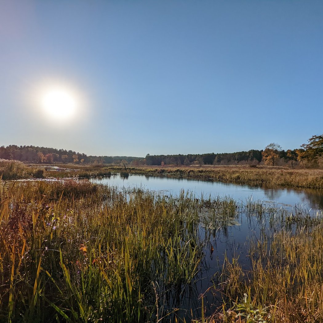 White Memorial Conservation Center 4