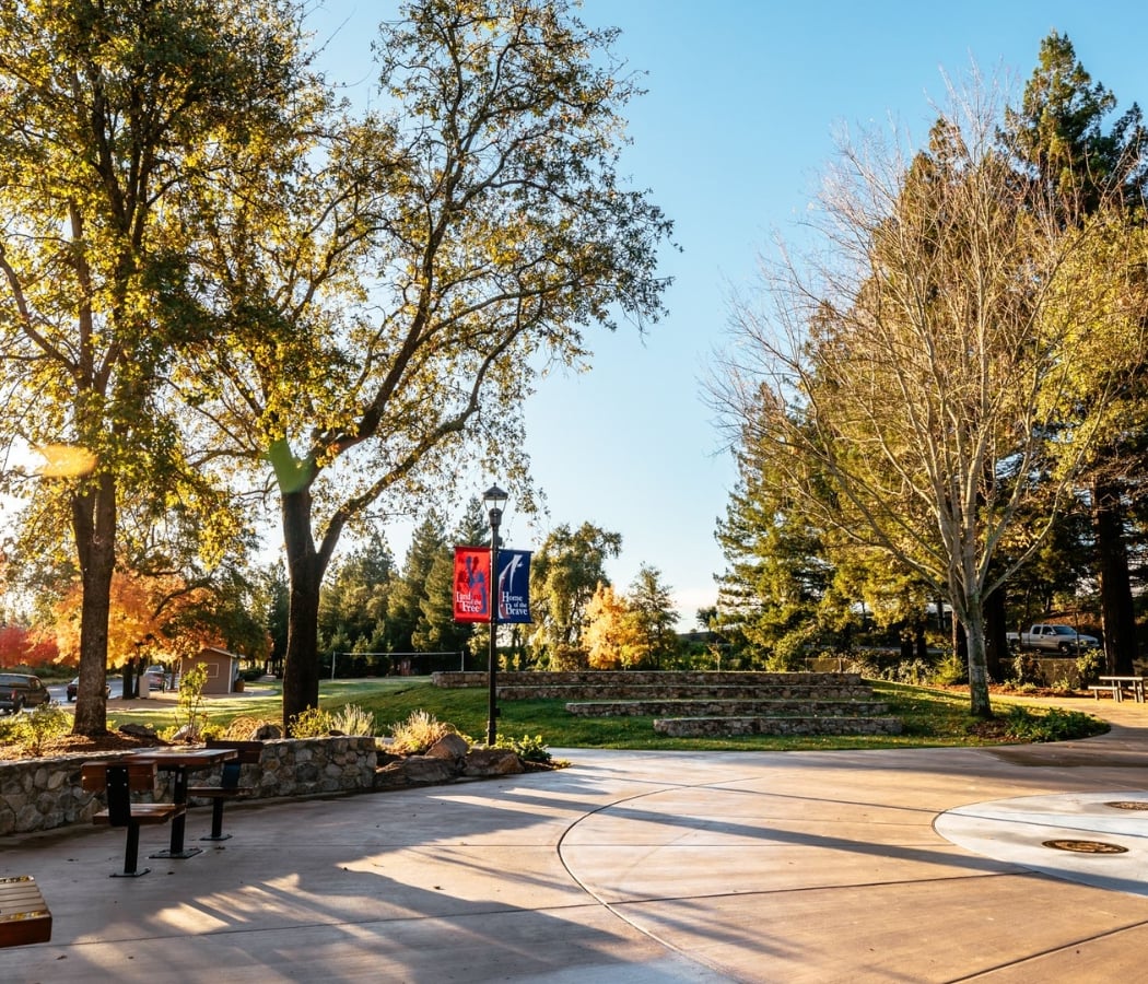 Yountville Park 1