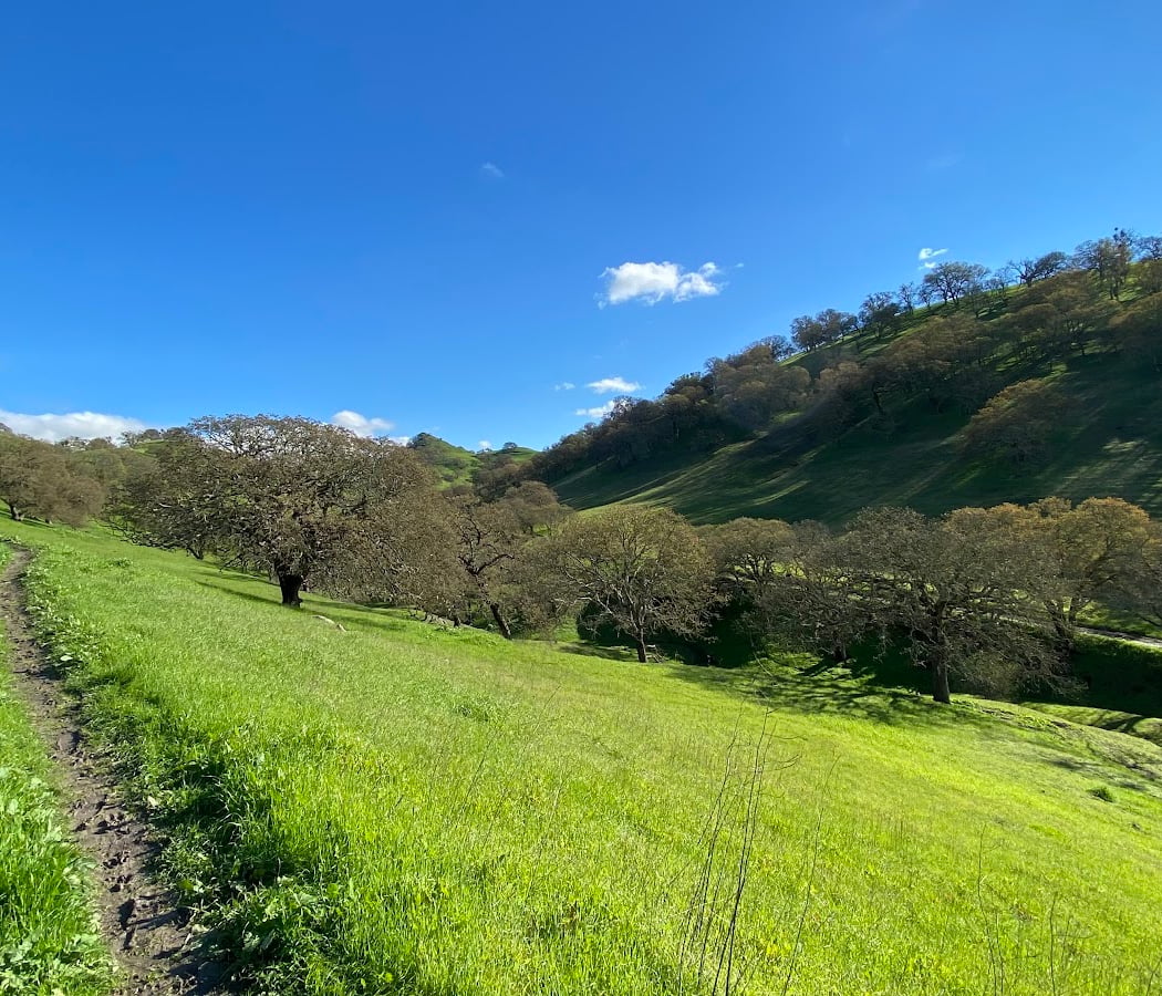 Walnut Creek Open Space 1