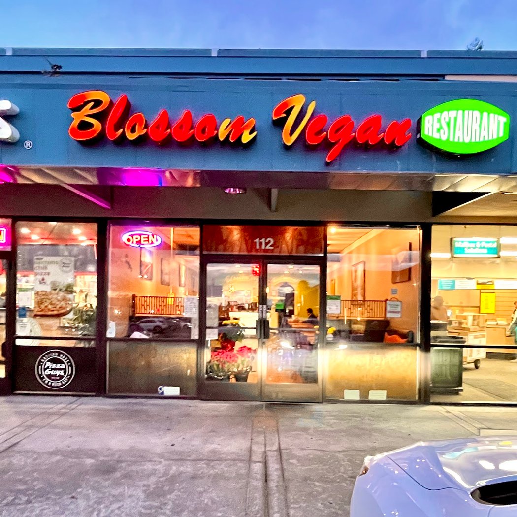 Blossom Vegan 2