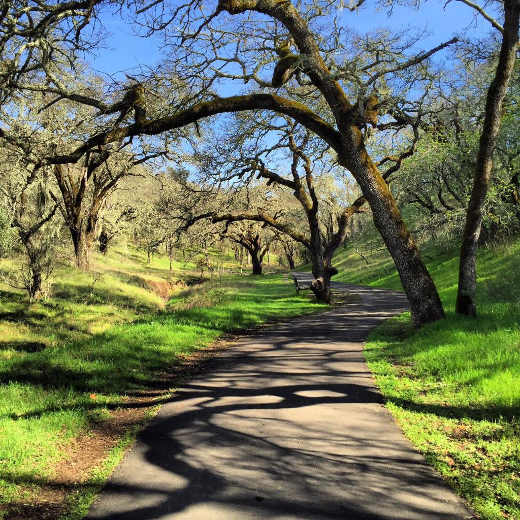 Sonoma Valley Regional Park 1