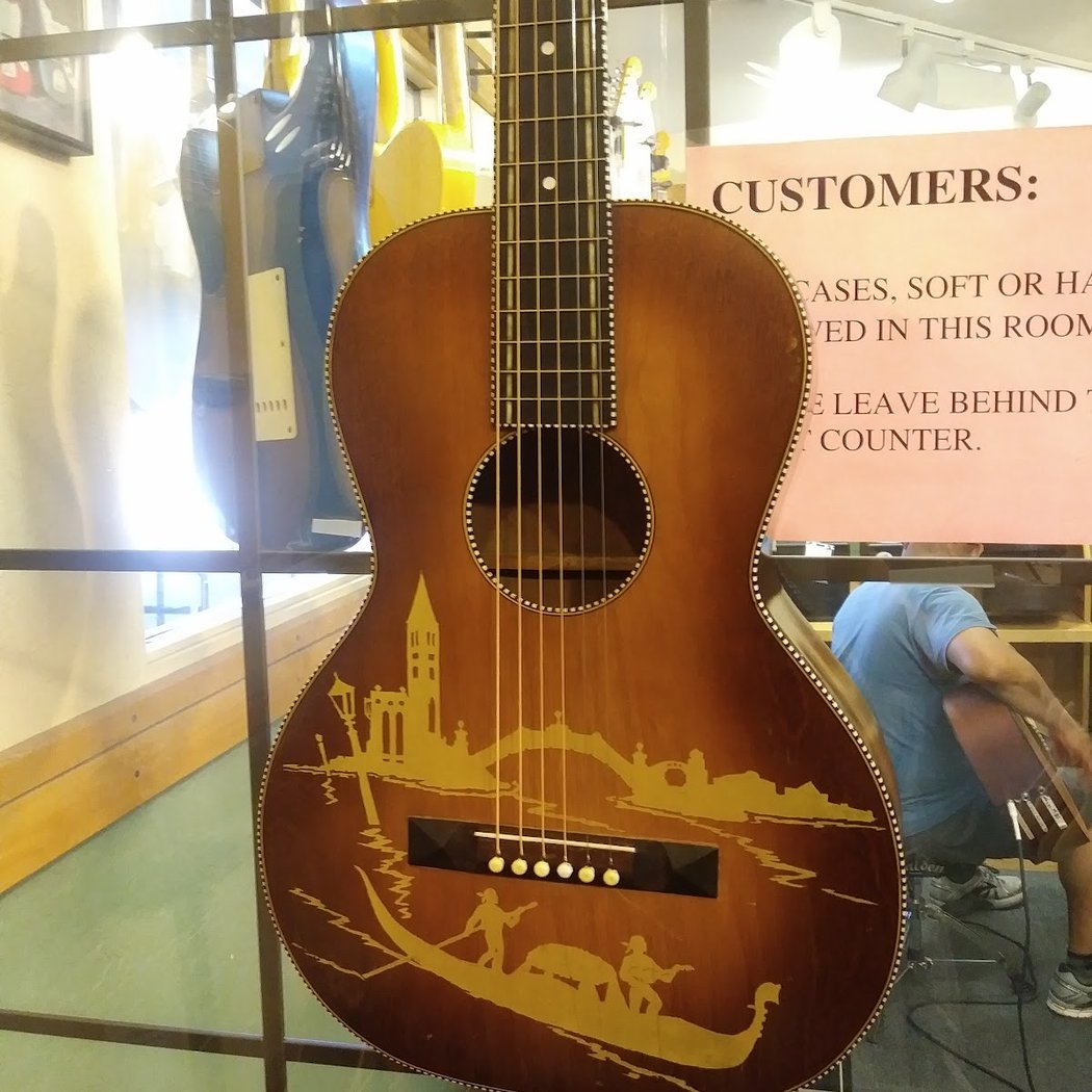 Gryphon Stringed Instruments 1