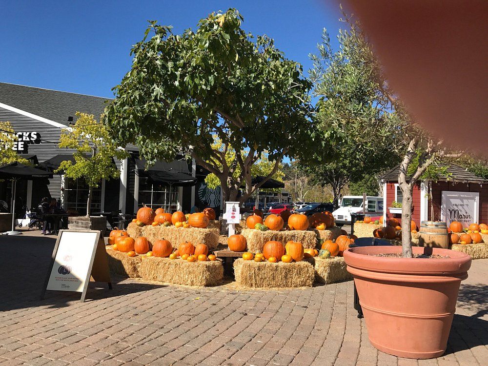 Marin Country Mart 1
