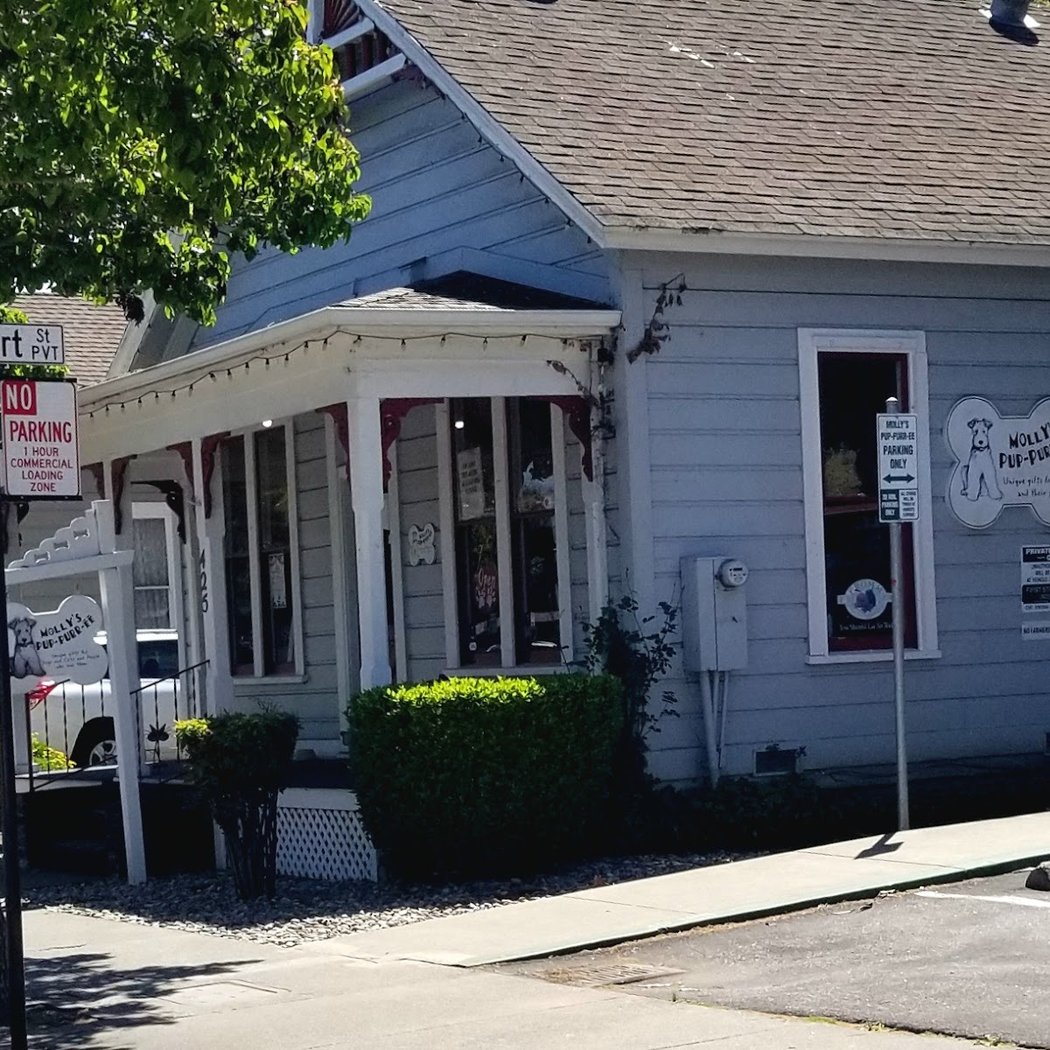 Mobile Adoptions at Molly's Pup-Purr-ee 4
