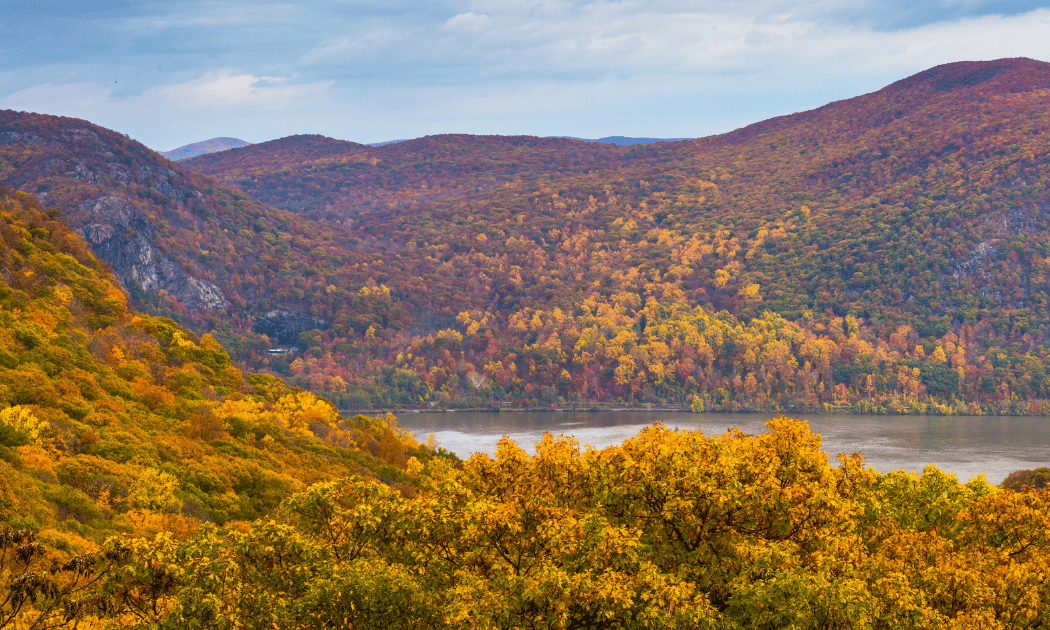 Storm King State Park 1
