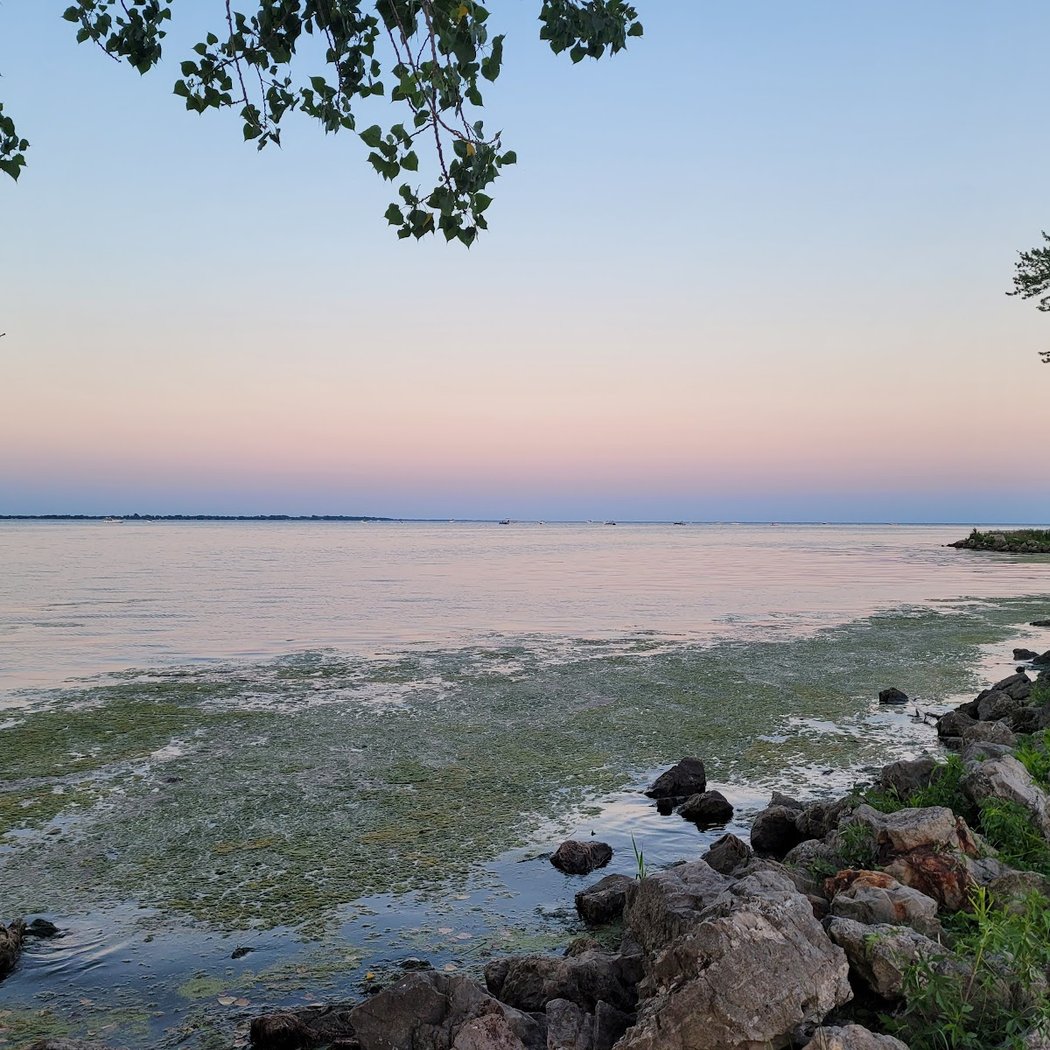 Lake Erie Owl Prowl 1
