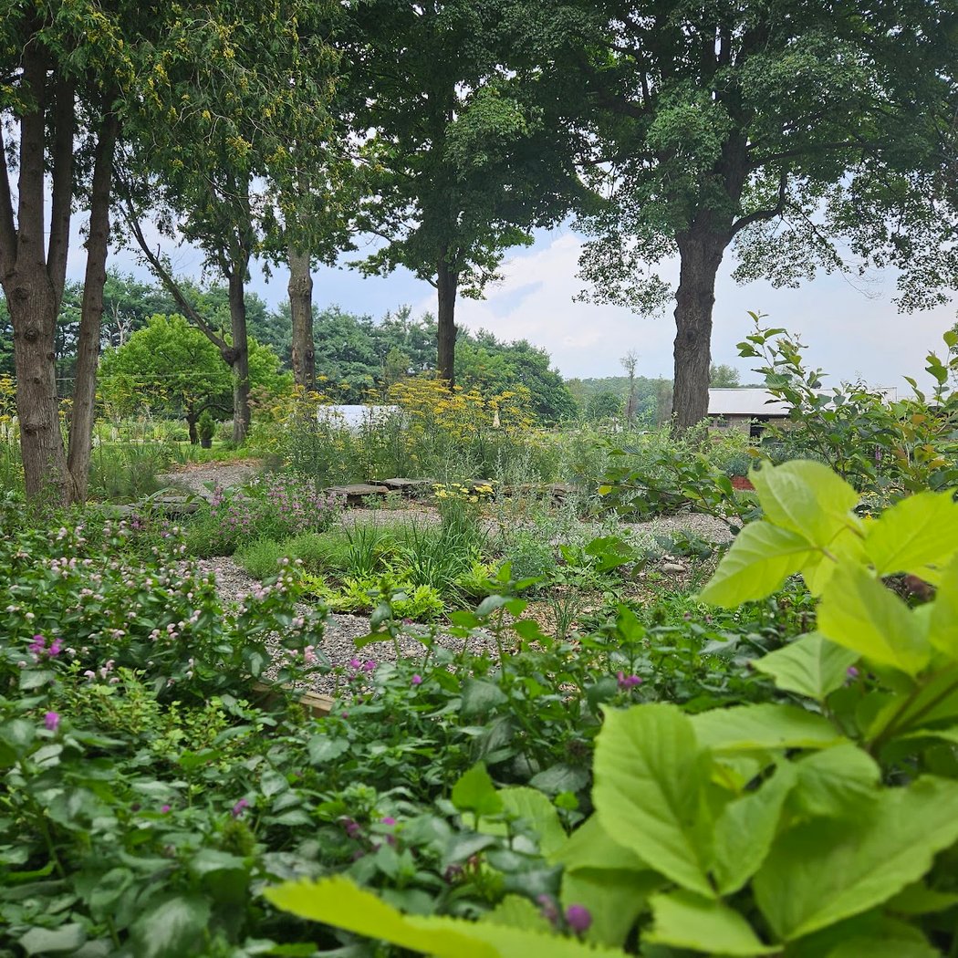 The Old Dairy Nursery & Gardens 3