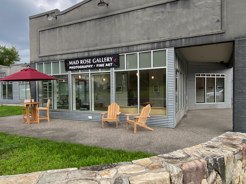 Mad Rose Gallery 3