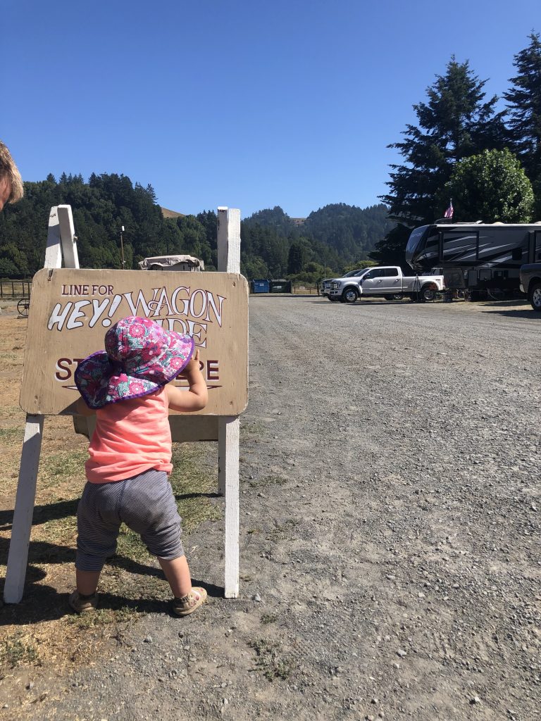 Free Hayride 1