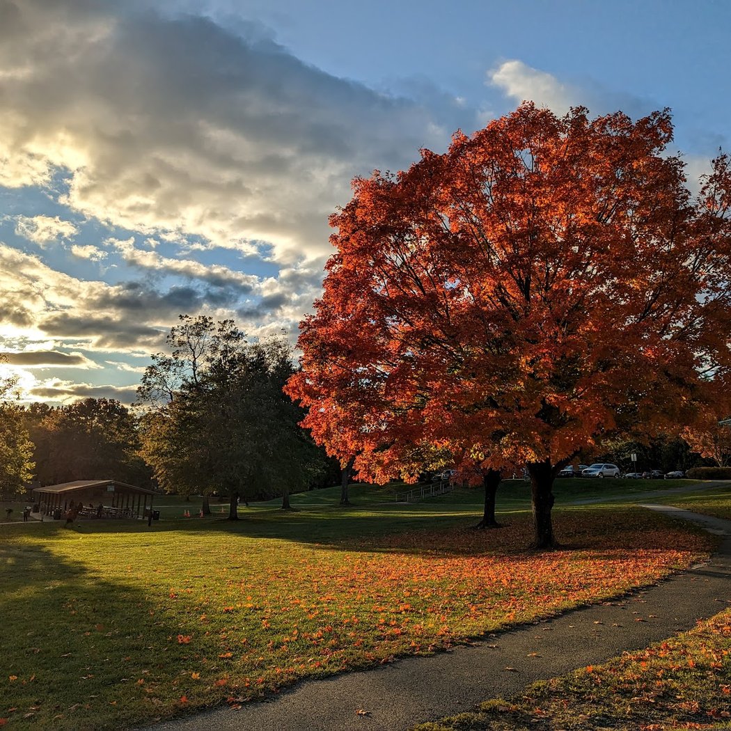 Bohrer Park 1