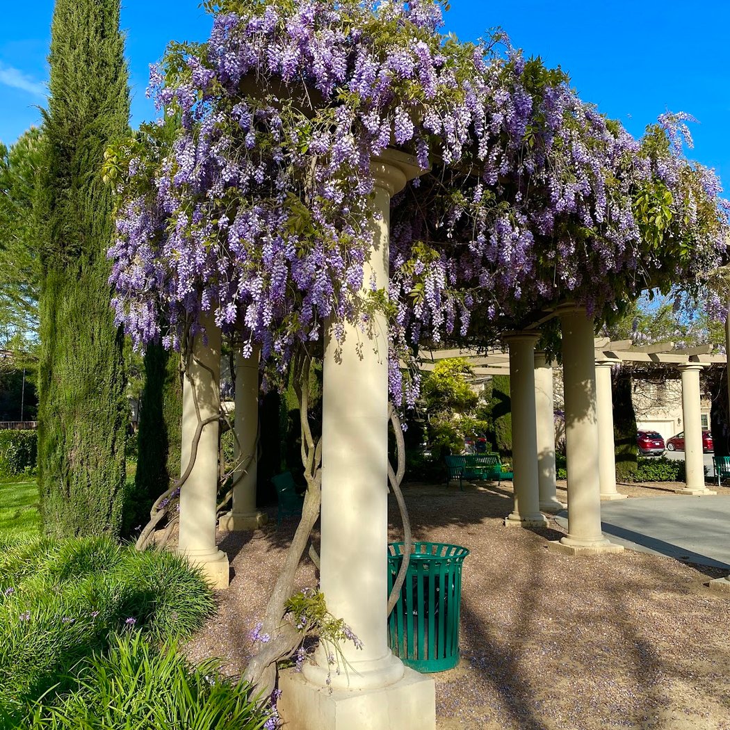 Capriano Park 2