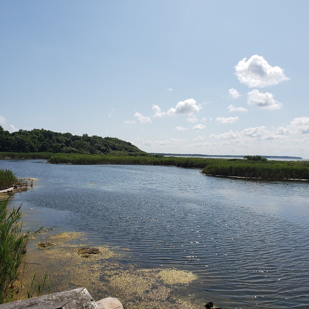 Inlet Pond County Park 2