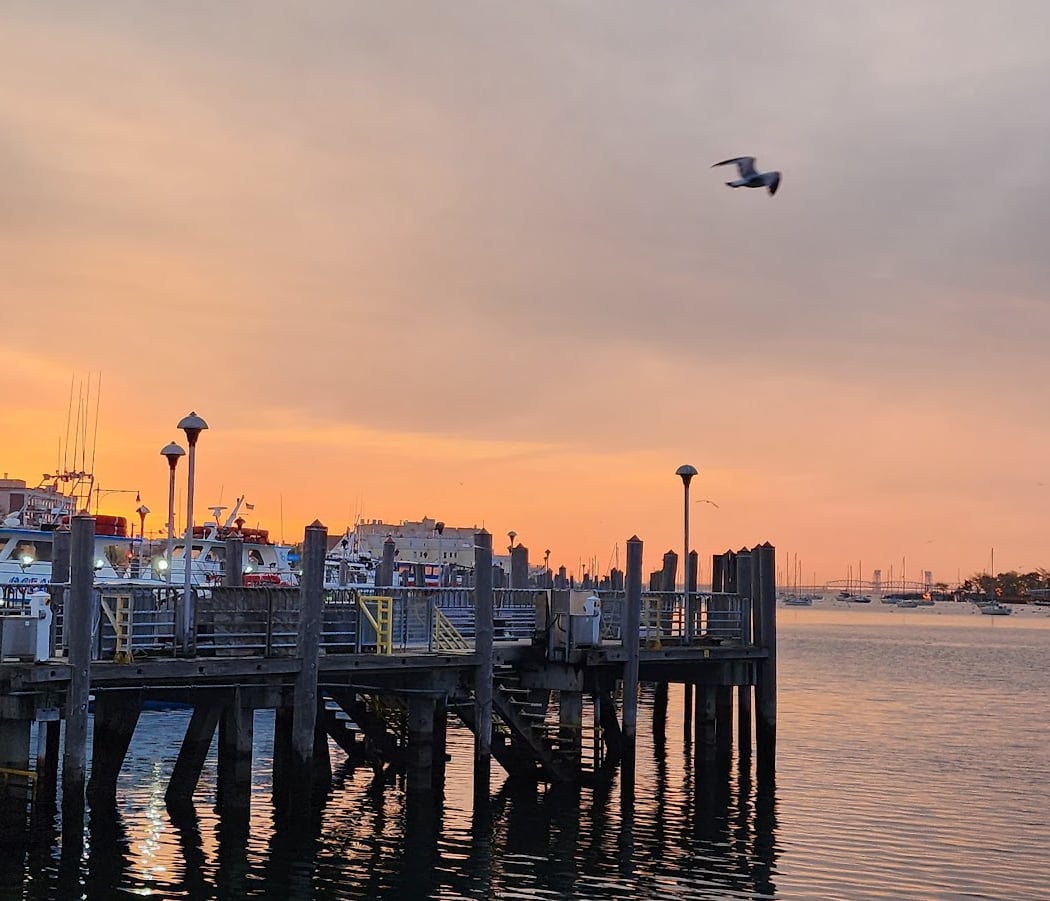 Sheepshead Bay Piers 1
