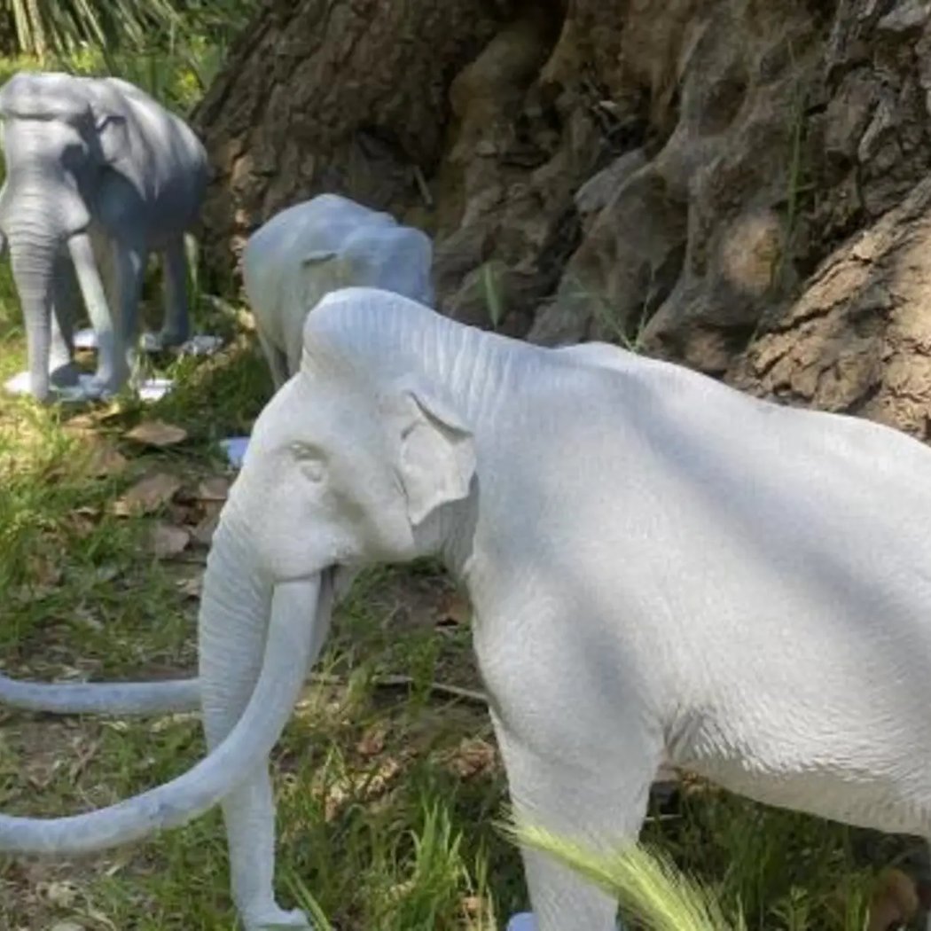 Animali estinti a portata di mano - Esposizione temporanea tattile all'Orto Botanico 1