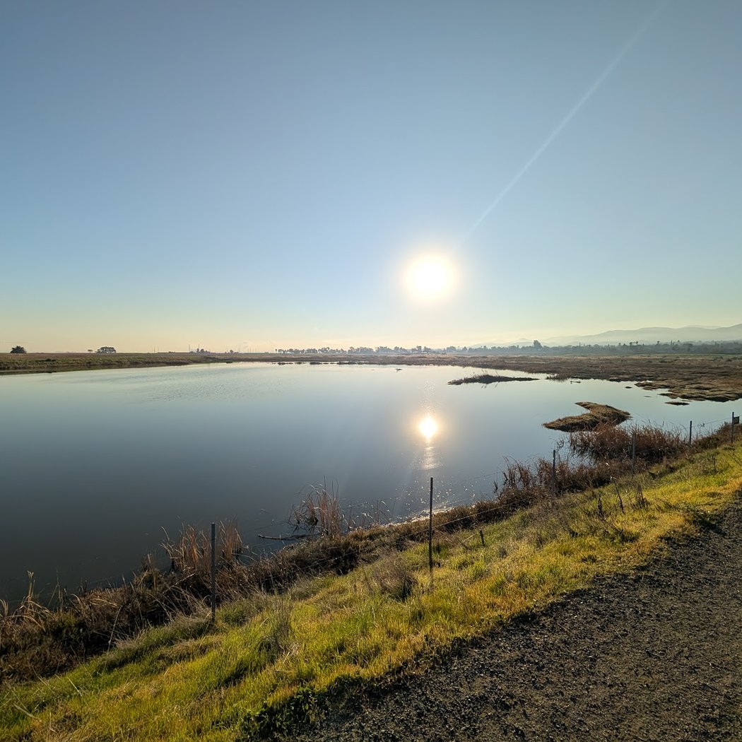 Bay Point Regional Shoreline 2