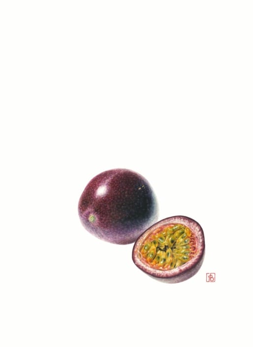 FIGURA BOTANICA 3