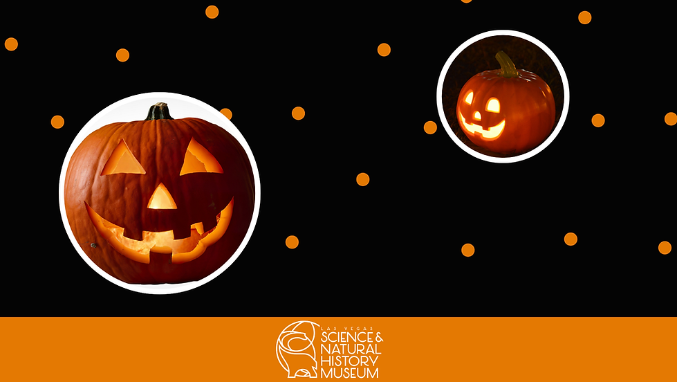 Early Explorers: Pumpkin Jack Storytime