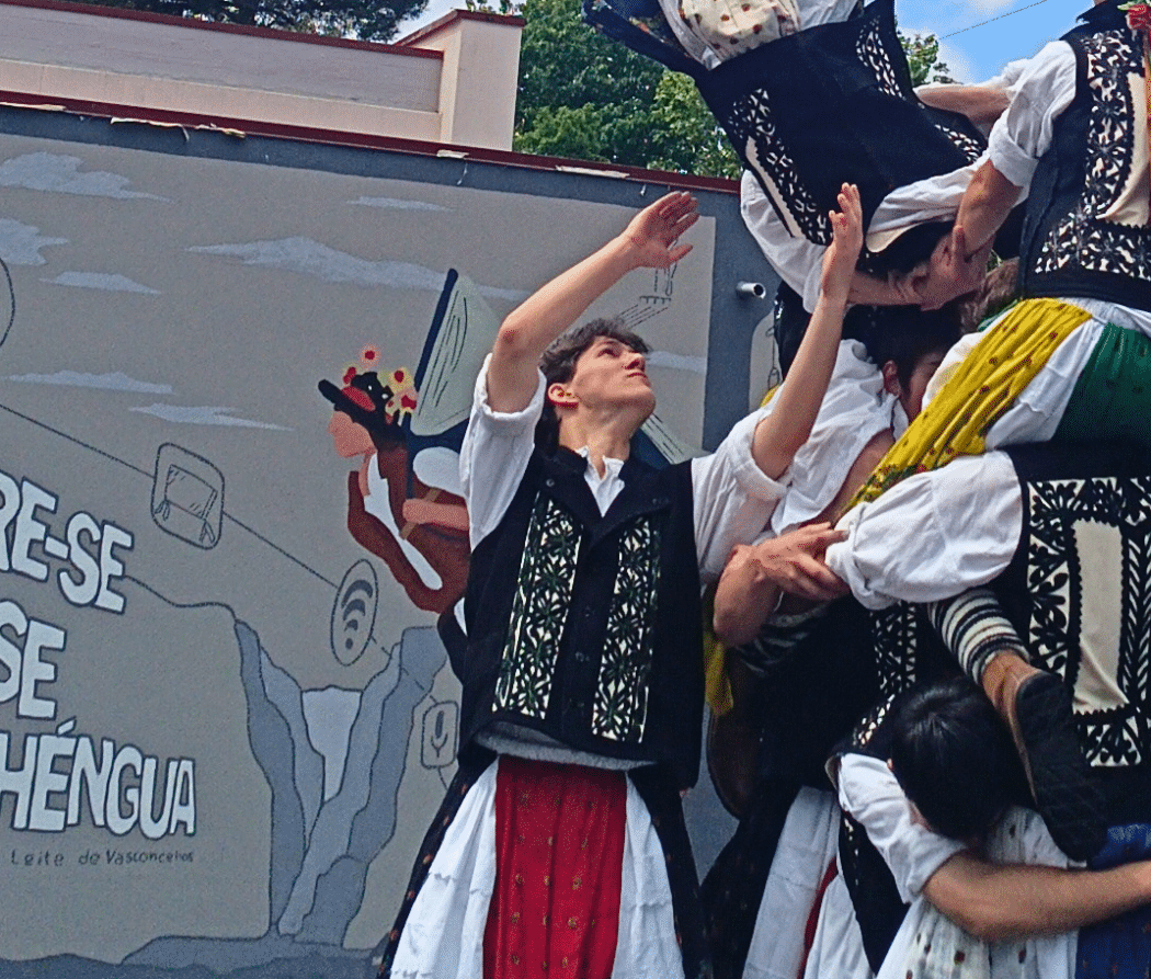 Pauliteiros de Miranda – Agrupamento de Escolas de Miranda do Douro (PT)