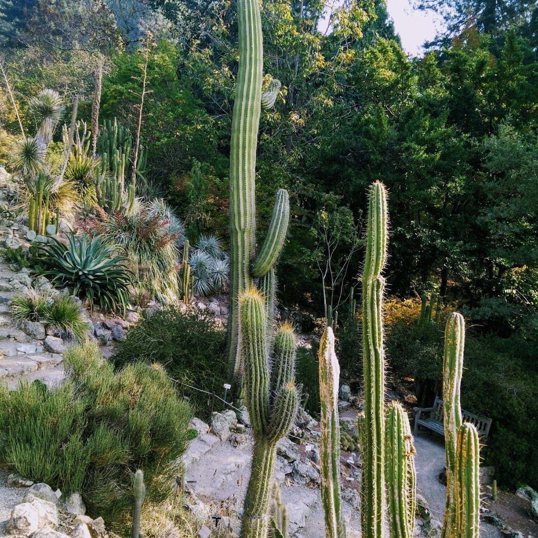 Sick Plant Clinic 4