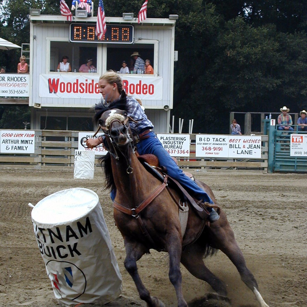 Mounted Patrol San Mateo County 1