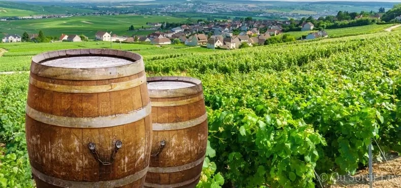 Office de Tourisme de la Côte des Bar en Champagne 2