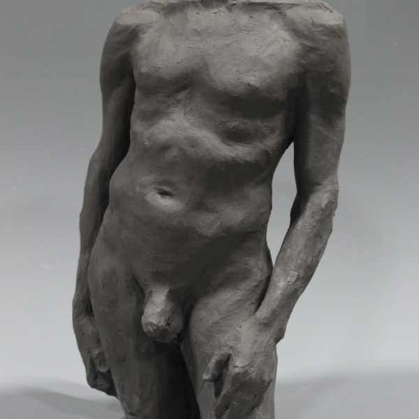 Summer: Sculpting the Torso