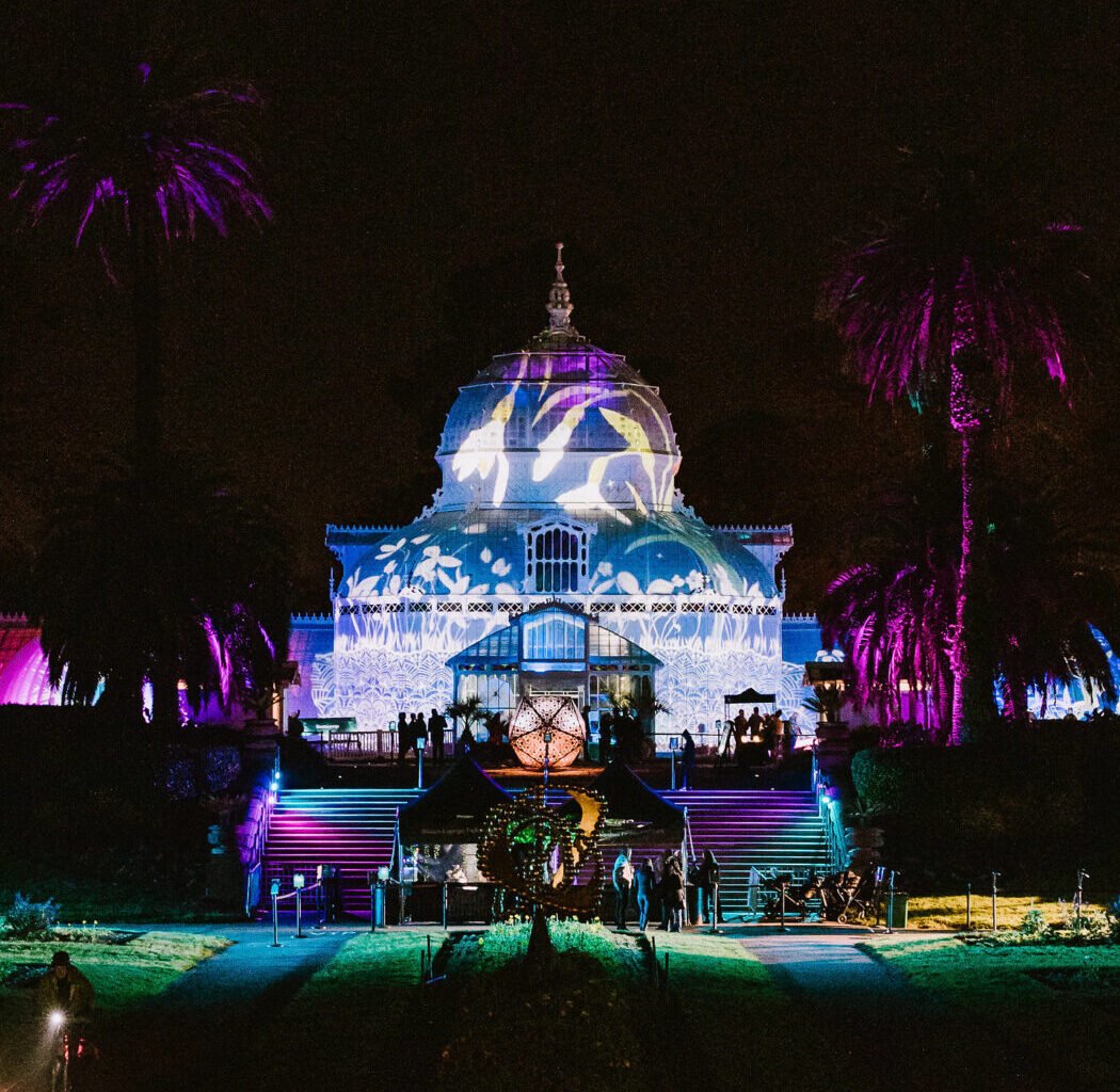 Photosynthesis Light Show 1