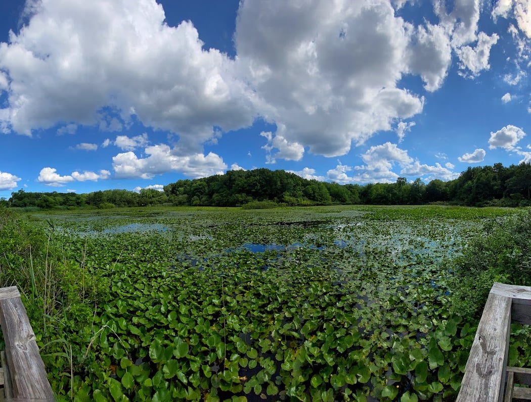 Clay Pit Ponds State Park 2