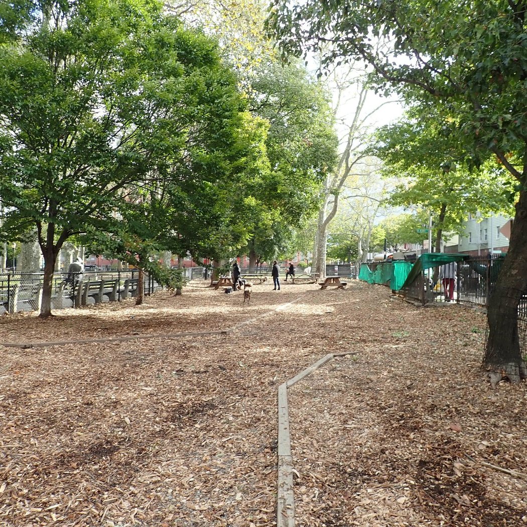McGrowl-Lick Park Dog Run 2