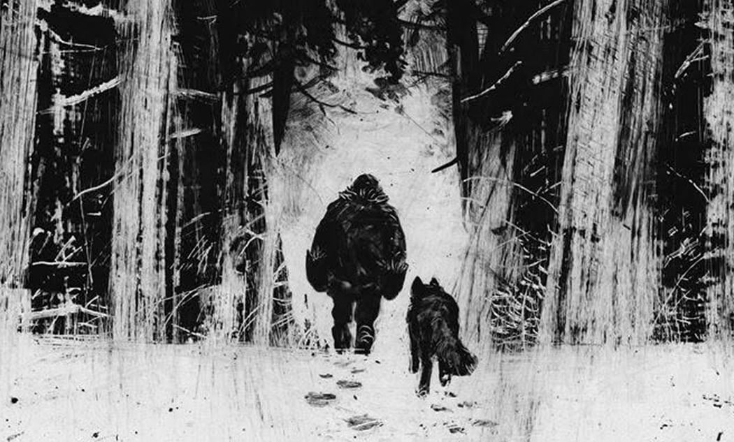 Nord Sauvage 3