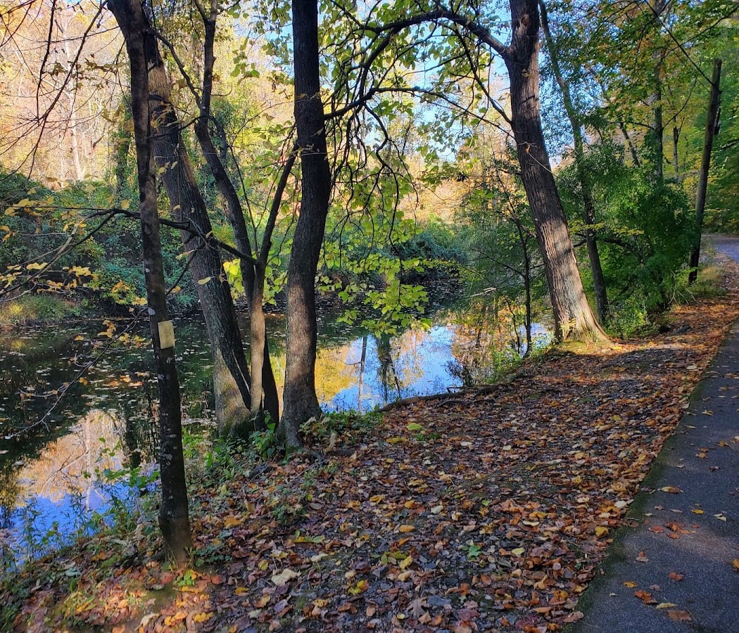 Ridley Creek State Park 2