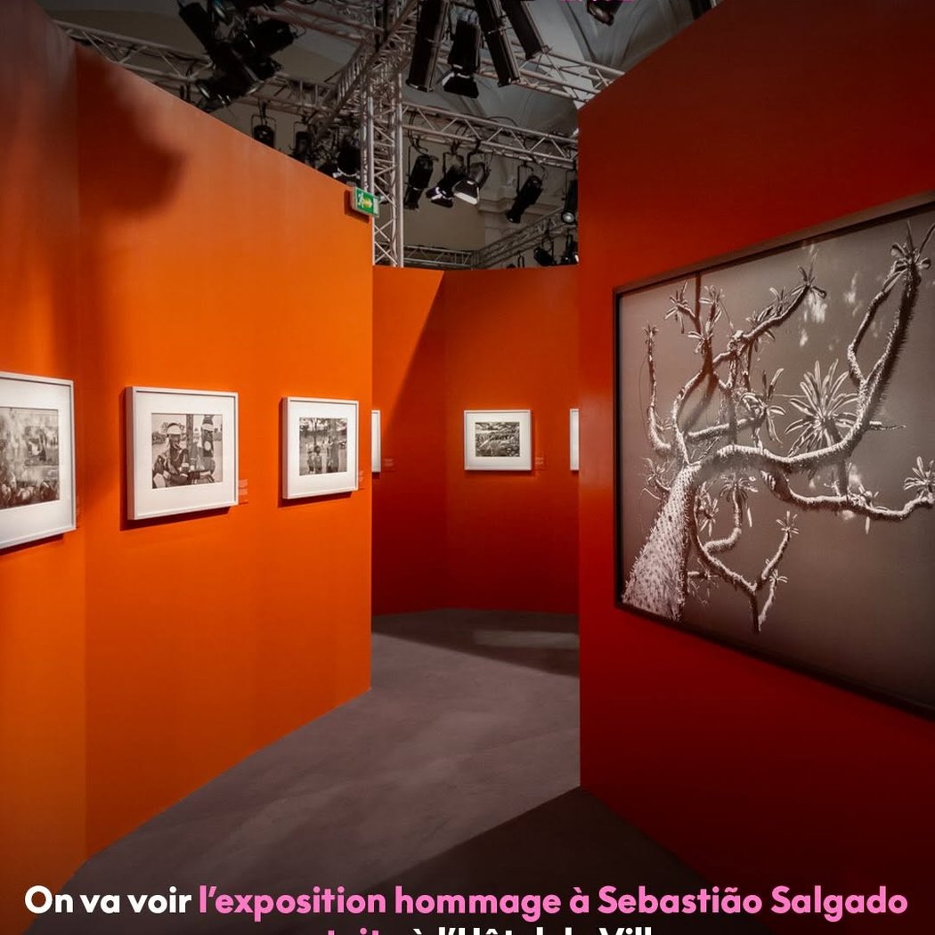 exposition hommage à Sebastião Salgado 1