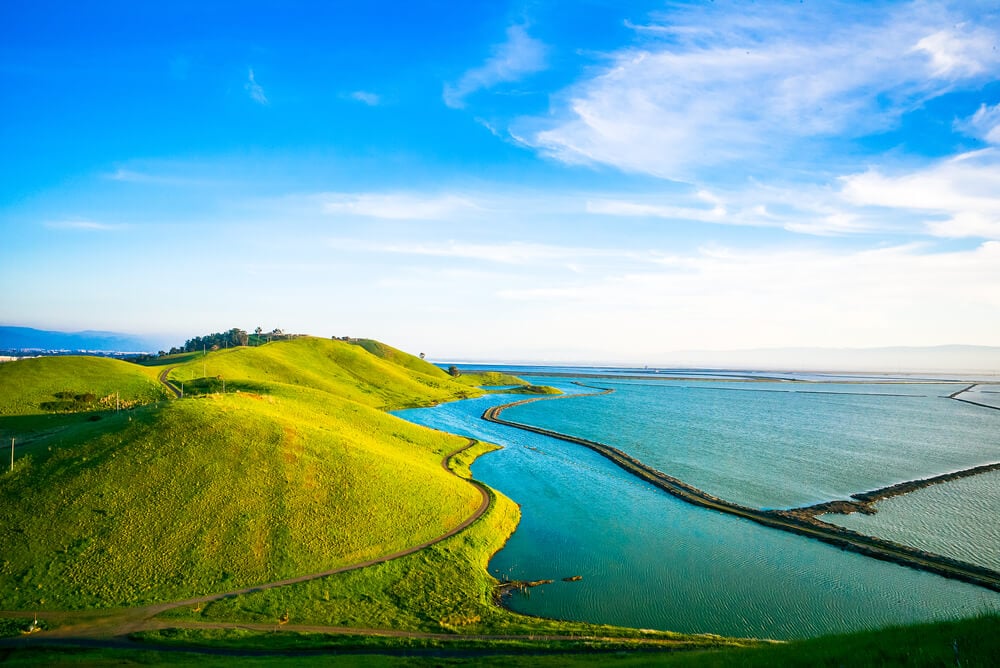 Coyote Hills Regional Park 1