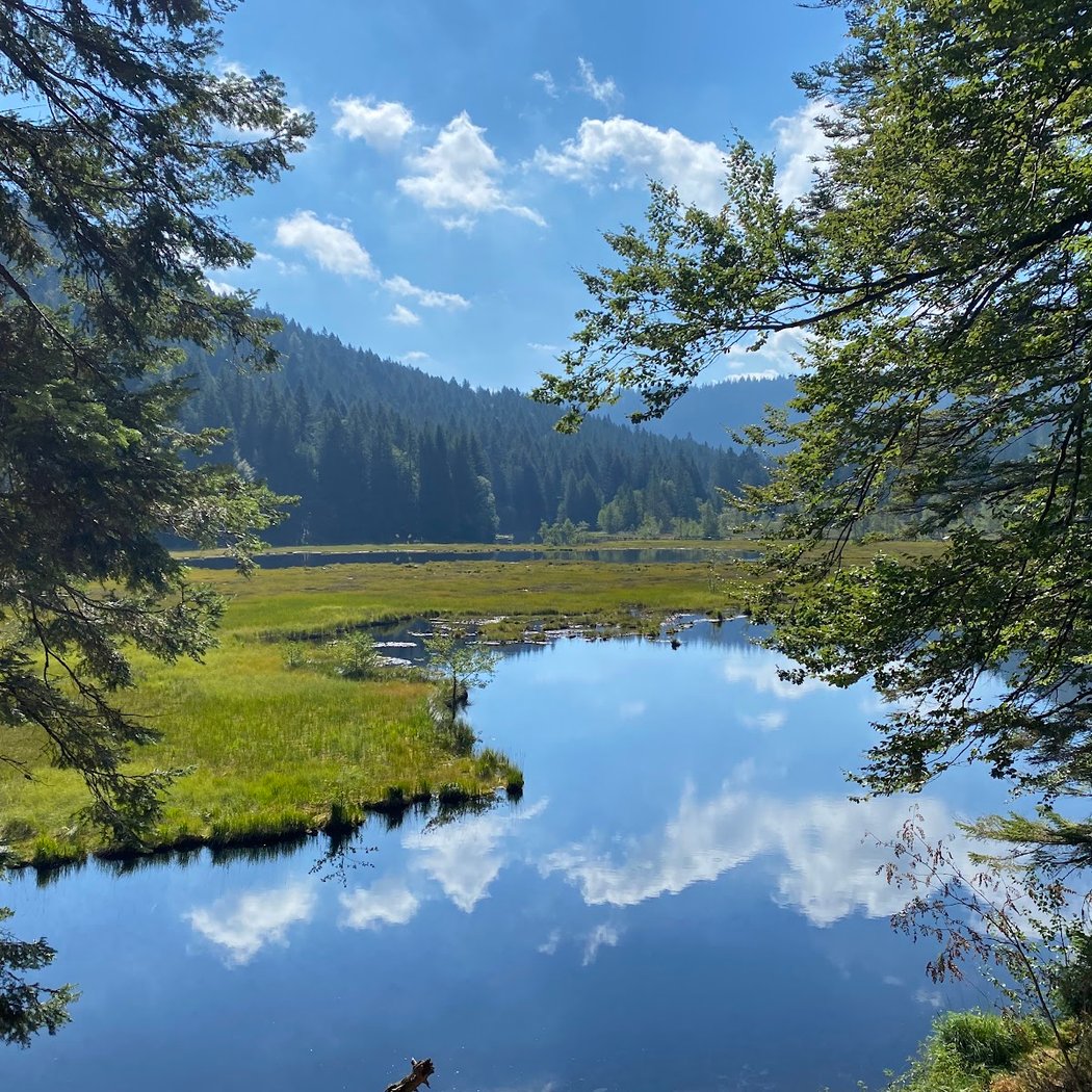 Lac de Lispach 3