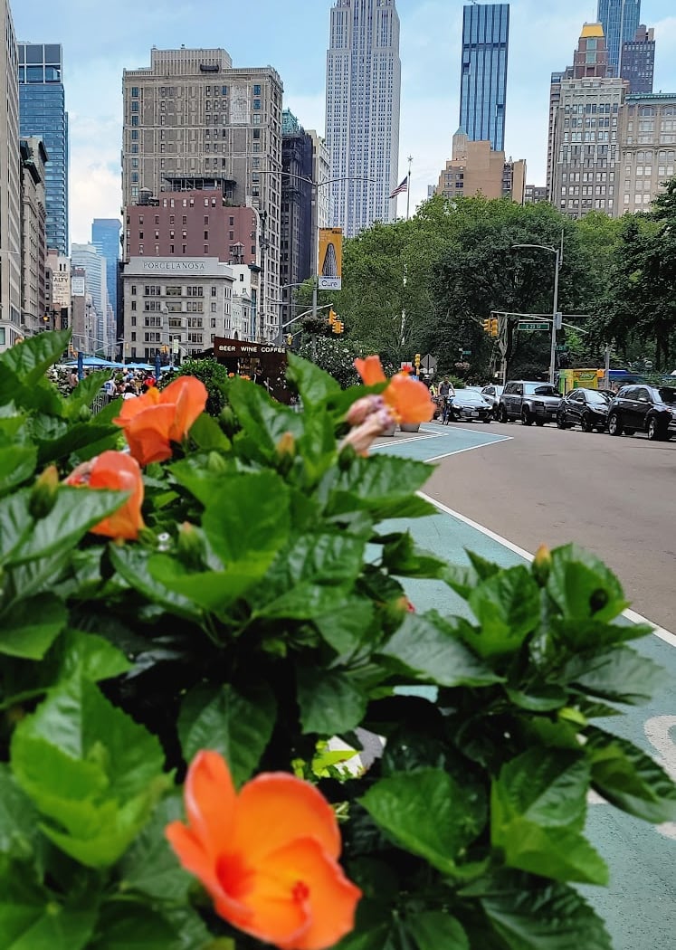 Flatiron Fitness Series 4