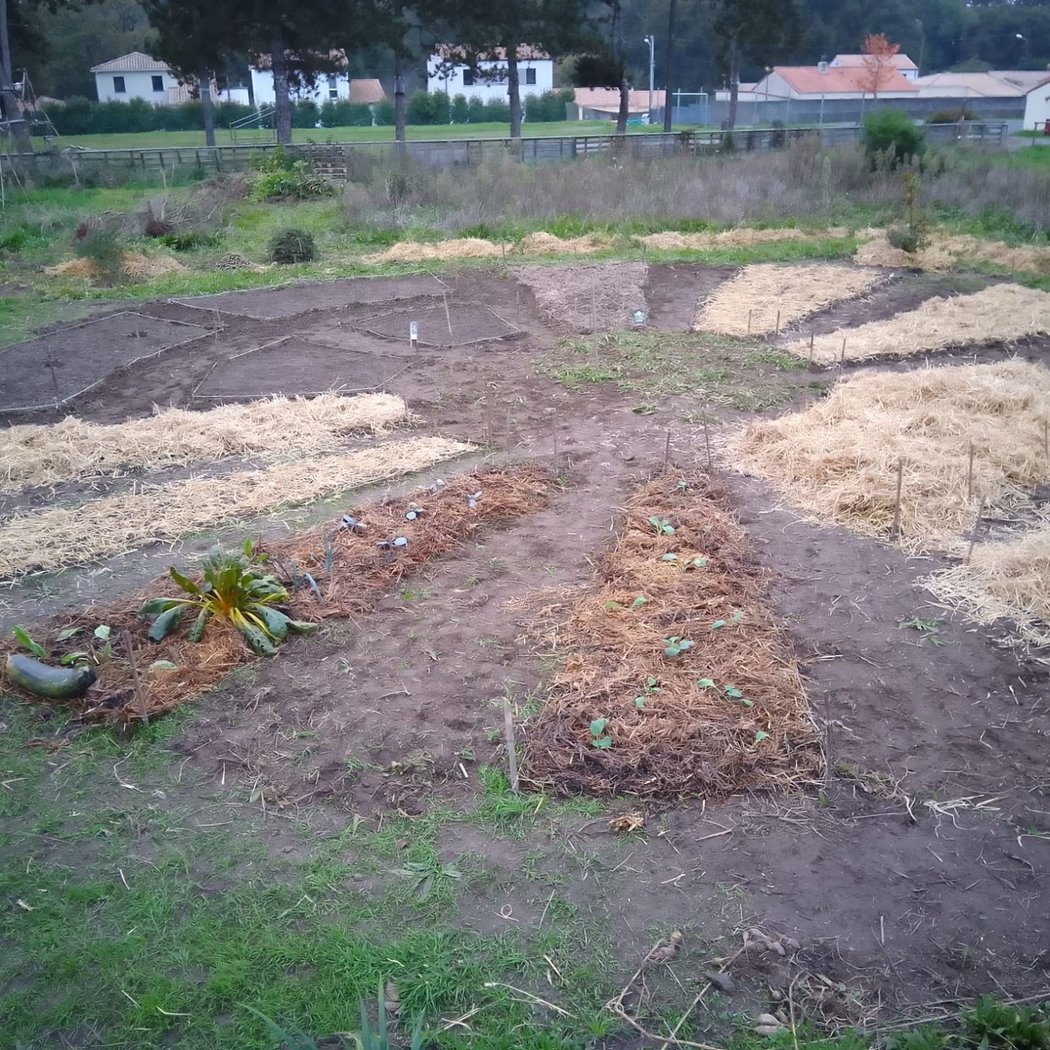 Atelier Jardin 2026 2